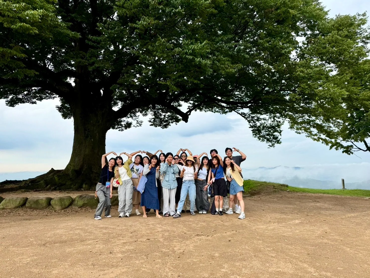 Beneath the great tree at Garimseong Fortress