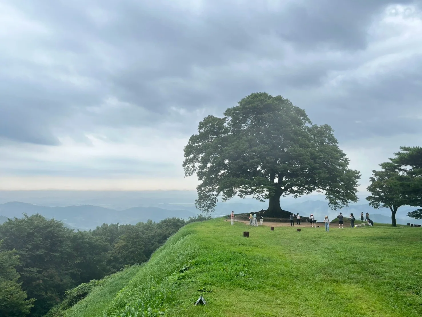 Pausing for a green landscape