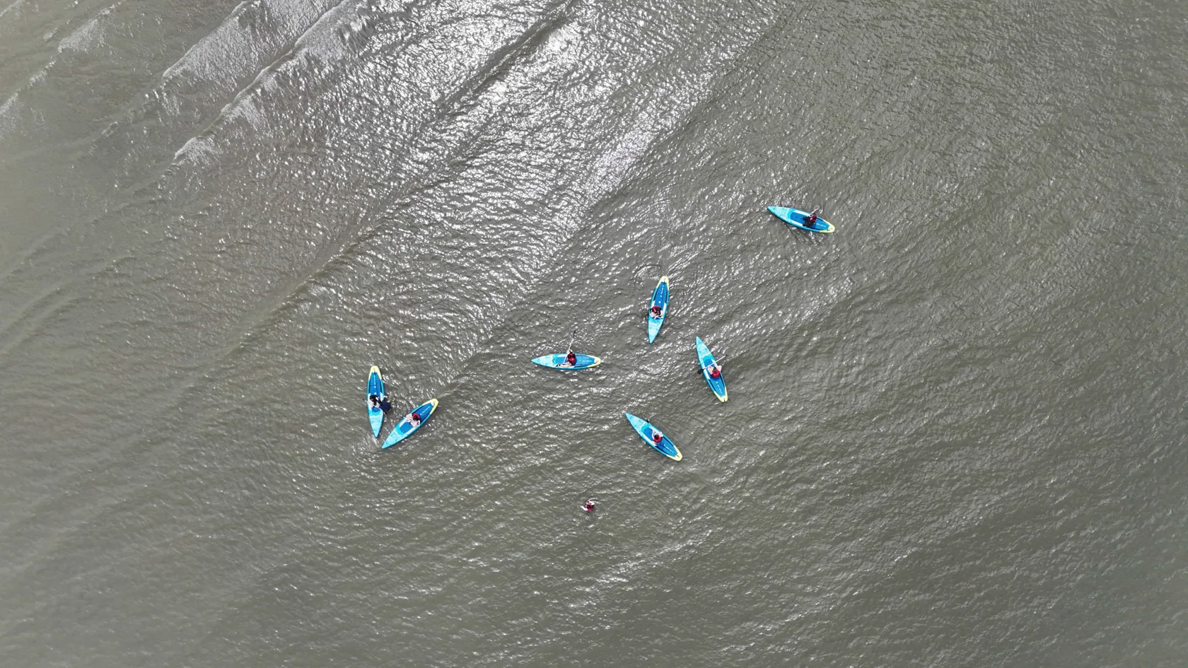 Blue paddleboards gathering on the sea at Chunjangdae